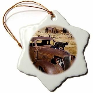 3dRose Danita Delimont - ȥ - ե˥ܥǥΩ˸ࡢȥ - US05 BJA0016 - 