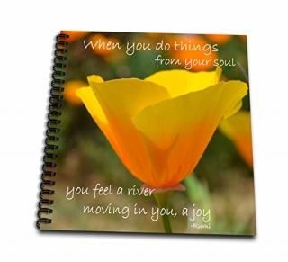 3dRose db_23641_2 󥹥ԥ졼ʥߥ֥å 1212