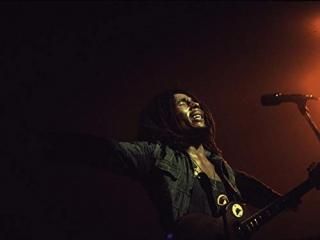 ܥ֡ޡ꡼ơǱդեȥץ10 x 8