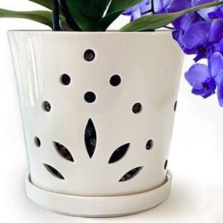 Atri Ceramic Orchid Pot with Holes  6.5 Decorative Flower Pot with Drainage Hol