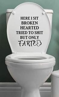 Funny Decal for Toilet Bathroom Restroom Wall Vinyl Decal Sticker Here I Sit Bro