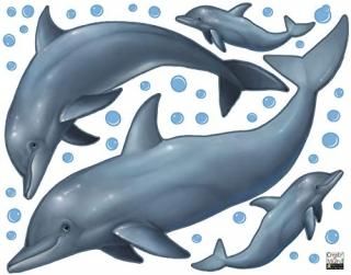Dolphin Decals Mural