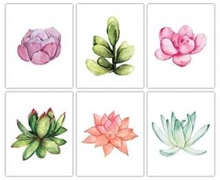 Watercolor Succulent Wall Art Prints - Set of Six 8x10 Unframed Pictures For Hom