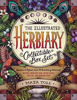 The Illustrated Herbiary Guidance and Rituals from 36 Bewitching Botanicals Wild