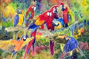 Caroline 's Treasures 8600plmt Parrotե֥åץ졼ޥåȥޥ顼