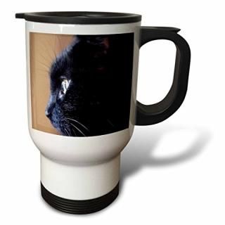 ե??ޥƥåDalmation Portrait??ιԥޥ 14-Ounce ۥ磻 tm_49310_1