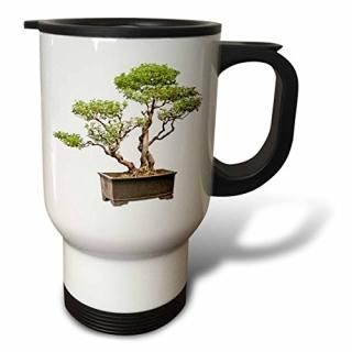 3drose Boehm Photography Plant??Penjingߺ??ιԥޥ 14 oz ۥ磻 tm_13927_1