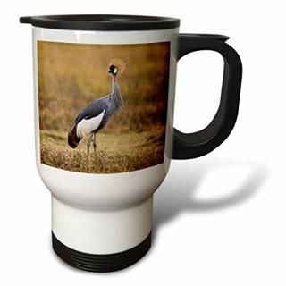 Danita Delimont??Ļ??󥶥˥֥åCrowned CraneNgorongoro crater-af45?rbe0197??Ralp