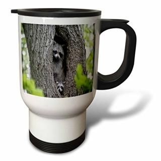 3dRose ե󥢥˥ޥ - ڤδ˱줿饤 - ȥ٥ޥ 14oz tm_80742_1