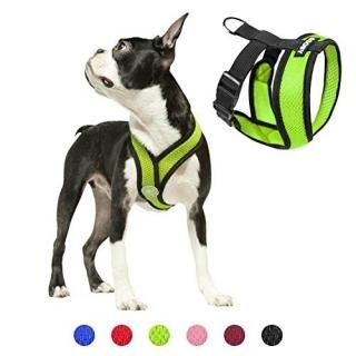 Gooby Choke Free X Frame Soft Harness with Micro Suede Trimming for Small Dogs L