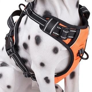 PoyPet No Pull Dog Harness Reflective Vest Harness with 2 Leash Attachments and 
