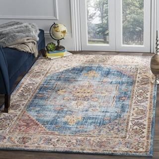 Safavieh Bristol Collection BTL349C Boho Chic Medallion Distressed Area Rug 8' x