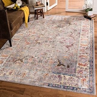 Safavieh Bristol Collection BTL362A Boho Chic Oriental Distressed Area Rug 6' x 