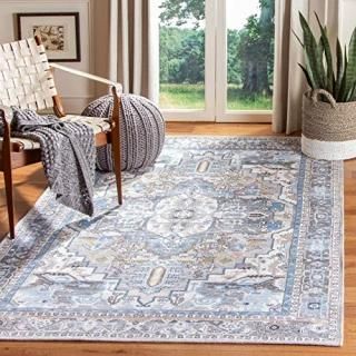 Safavieh Saffron Collection SFN202F Handmade Boho Chic Distressed Chenille Area 