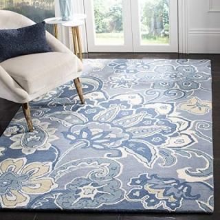 Safavieh Soho Collection SOH797A Handmade Premium Wool & Viscose Area Rug 5' x 8