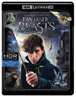 Fantastic Beasts and Where to Find Them 4K Ultra HD + Blu-ray + Digital HD