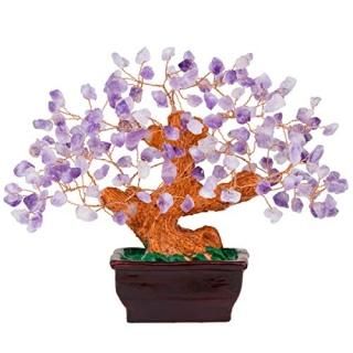 Amogeeli ᥸ ꥹ Ƽ ޥ͡ĥ꡼ ʪ ۡǥ졼  ٤