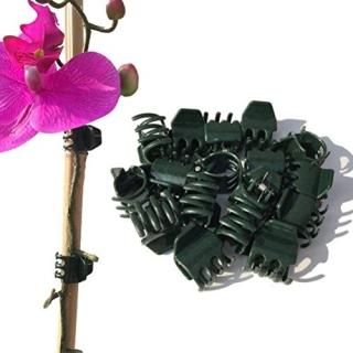 Vtete 50 PCS Large Size Orchid Clips and Garden Support Clips Green Not with Flo