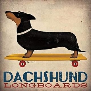Dachshund Longboards by Ryan Fowler Skateboard Sign Dogs Animals Print Poster by