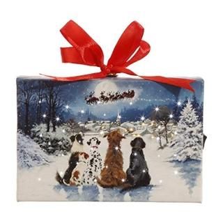 RAZ Imports 󥿤򸫤Ƥ븤 ʥ