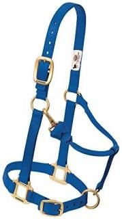 Average Mini Blue - Weaver Leather Nylon Miniature Horse Adjustable Halter