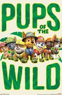 ȥɹɥݥFCХ륻ʥͥޡ 22.375 x 34 RP14958