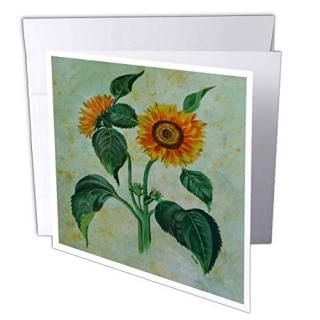 Taiche Acrylic Art??֤Ҥޤ??꡼ƥ󥰥 Set of 12 Greeting Cards