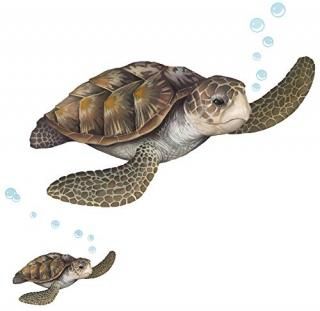 Sea Turtle Wall Decal Realistic Undersea Animal for Kids Room Decor by Create-A-