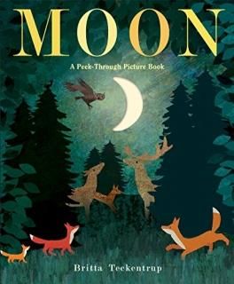 Moon A Peek-Through Picture Book