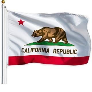 G128  California State Flag  3x5 feet  Printed  Vibrant Colors Brass Grommets Qu
