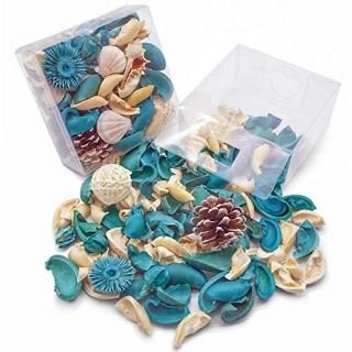 domestarPotpourriХåFresh Ocean ScentConchȥ饿ܡ٥DecorativeФFr