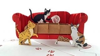 igiftsȥ3dݥåץåץ꡼ƥ󥰥Cats??ͷӿFurry졢Pussycatƥ֡Meowclowders??Fo