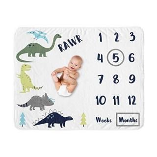 Sweet Jojo Designs Mod Dino Boy Milestone Blanket Monthly Newborn First Year Gro