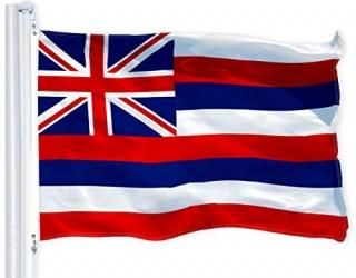 G128 - Hawaii State Flag 3x5 ft Printed Brass Grommets 150D Quality Polyester Fl