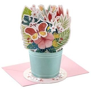 Hallmark Paper Wonder Birthday Congratulations ݥåץåץ ǥץ쥤ǽ֡