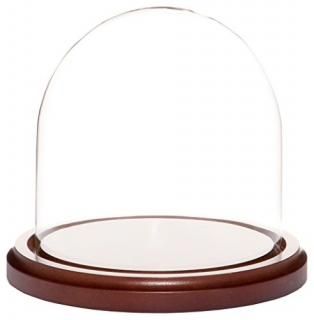 Plymor Brand Glass Doll Dome with Walnut Base - 14cm x 14cm