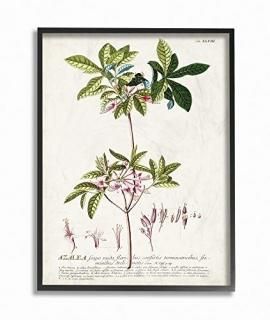 Stupell Industries ܥ˥ץȥ饹 ԥ󥯥ե ơǥ Х륢 ޥ顼 16x20 fa