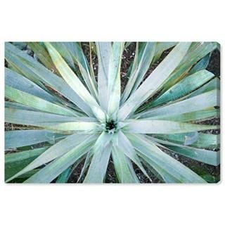 The Oliver Gal Artist Co. Botanical Wall Art Canvas Prints 'Plant Flower Illusio