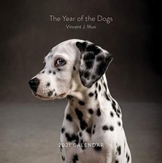 The Year of the Dogs 2021 Wall Calendar Dog Portrait 12-Month Calendar Dog Lover