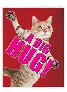 A Big hug-cat Friendship桼⥢ѻ楫 1 Jumbo Blank Card & Enve. J2743FRB