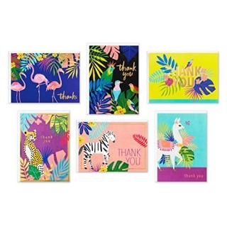 Hallmark Thank You Cards Assortment Tropical Animals 24 Assorted Thank You Notes