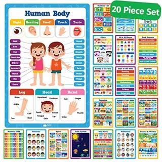 20 Classroom Educational Posters For Preschoolers Toddlers Kindergarten Elementa