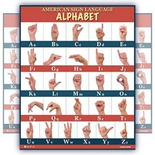 ĸABC ߥ͡ȥݥ Young N Fined 18x24 ֥롼