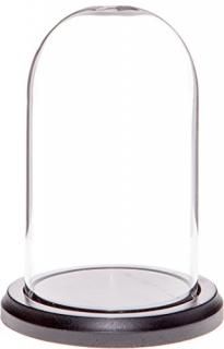 Plymor 3 x 5 Glass Display Dome Cloche Black Wood Base