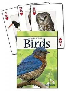 Birds of the Northeast Playing Cards Nature's Wild Cards