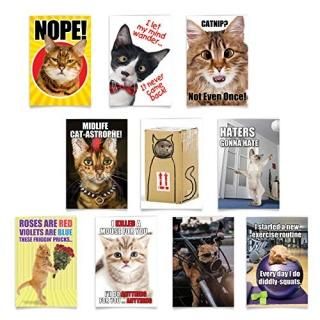 PETIGREET Cats桼⥢ѻ楫 Box of 10 Designs SKUA4886BDG