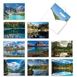 ȿall-occasion桼⥢ѻ楫 10 Assorted Blank Note Cards M1728BN