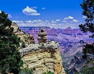 Duck-on-a-rock East Rim Drive South Rom Grand Canyon National Park Arizona USA 