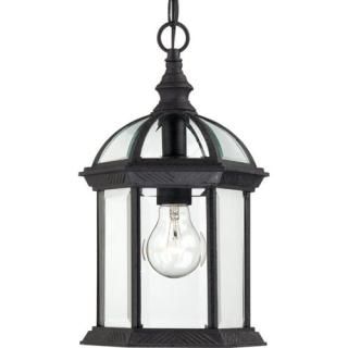 Nuvo Lighting 60/4979 Boxwood One Light Hanging Lantern 100 Watt A19 Max. Clear 