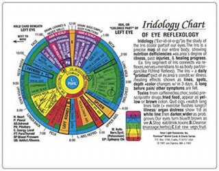 IRIDOLOGY Chart Of EYE Reflexology Rainbow Coded